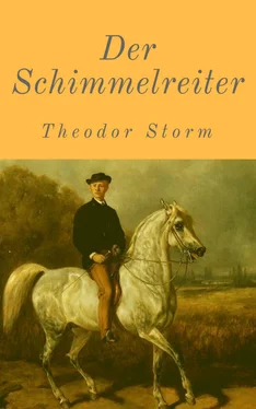 Theodor Storm Der Schimmelreiter обложка книги