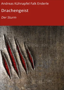 Falk Enderle Drachengeist обложка книги