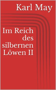 Karl May Im Reich des silbernen Löwen II обложка книги