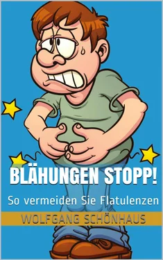 Wolfgang Schönhaus Blähungen Stopp! обложка книги