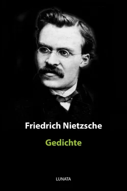 Friedrich Nietzsche Gedichte обложка книги