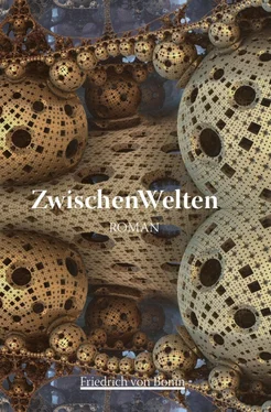 Friedrich von Bonin ZwischenWelten обложка книги
