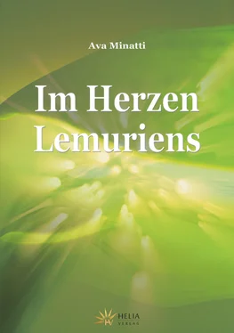 Ava Minatti Im Herzen Lemuriens обложка книги