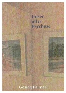 Gesine Palmer Unser aller Psychose обложка книги