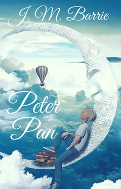 J. Barrie J. M. Barrie: Peter Pan (English Edition) обложка книги