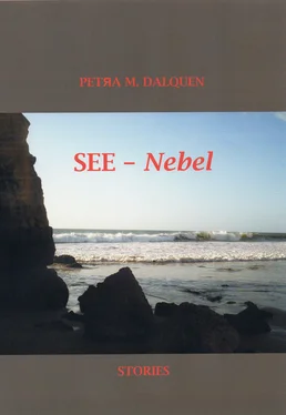 Petra Dalquen See-Nebel обложка книги