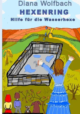 Diana Wolfbach HEXENRING Hilfe für die Wasserhexe обложка книги
