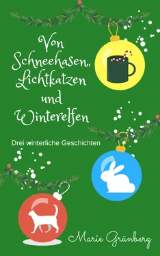 Marie Grünberg Von Schneehasen, Lichtkatzen und Winterelfen обложка книги