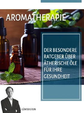Gunter Stein Aromatherapie обложка книги