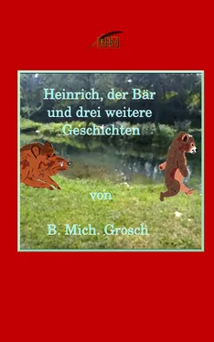 Bernd Michael Grosch Heinrich der Bär обложка книги