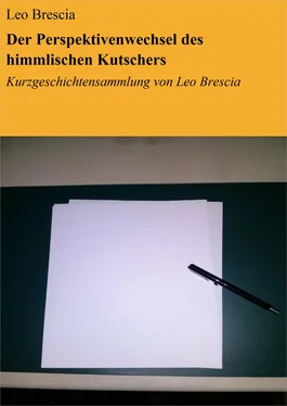 Leo Brescia Der Perspektivenwechsel des himmlischen Kutschers обложка книги