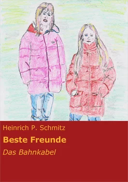 Heinrich P. Schmitz Beste Freunde обложка книги