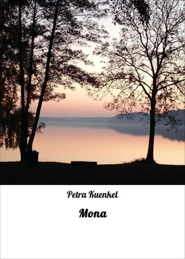 Petra Kuenkel Mona обложка книги