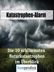 Alessandro Dallmann - Katastrophen-Alarm: