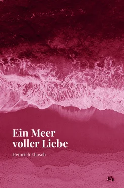 Heinrich Eliasch Ein Meer voller Liebe обложка книги