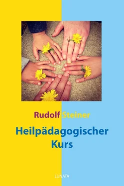 Rudolf Steiner Heilpädagogischer Kurs обложка книги