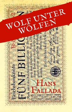 Hans Fallada Wolf unter Wölfen обложка книги