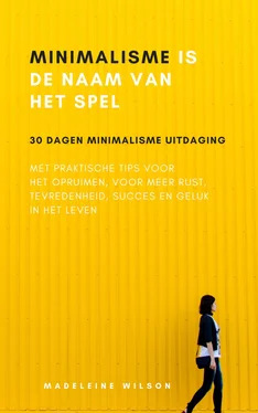 Madeleine Wilson Minimalisme Is De Naam Van Het Spel обложка книги