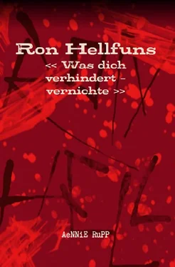 AeNNiE Rupp Ron Hellfuns обложка книги