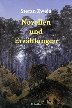 Stefan Zweig Novellen und Erzählungen обложка книги