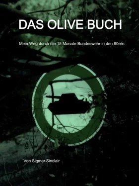 Sigmar Sinclair Das olive Buch обложка книги