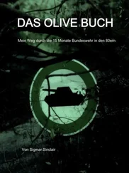 Sigmar Sinclair - Das olive Buch