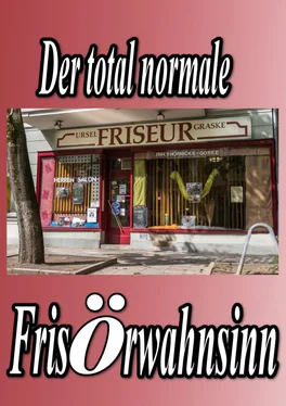 Yvette Gorke Der total normale Frisörwahnsinn обложка книги