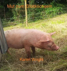 Karen Wright - Mut zum Glücklichsein
