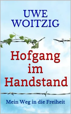 Uwe Woitzig Hofgang im Handstand обложка книги