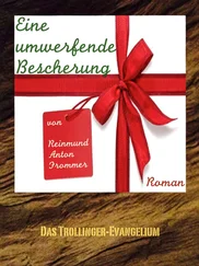 Reinmund Anton Frommer - Eine umwerfende Bescherung