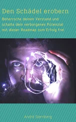André Sternberg - Den Schädel erobern