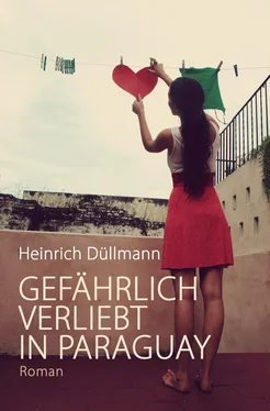 Heinrich Düllmann GEFÄHRLICH VERLIEBT IN PARAGUAY обложка книги