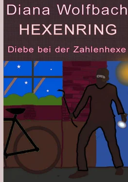 Diana Wolfbach HEXENRING Diebe bei der Zahlenhexe обложка книги