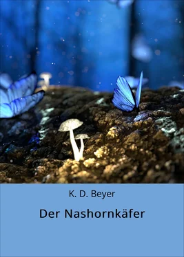 K. D. Beyer Der Nashornkäfer обложка книги