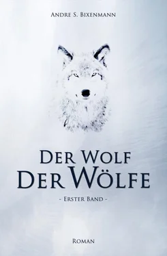 Andre Bixenmann Der Wolf der Wölfe обложка книги