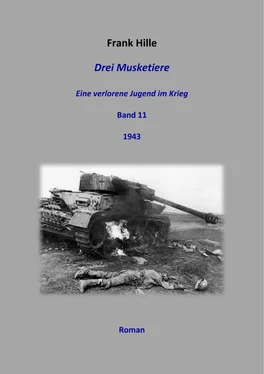 Frank Hille Drei Musketiere - Eine verlorene Jugend im Krieg, Band 11 обложка книги