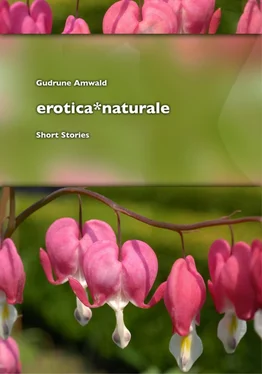 Gudrune Amwald erotica*naturale, short stories обложка книги