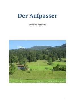 Reiner W. Netthöfel Der Aufpasser обложка книги