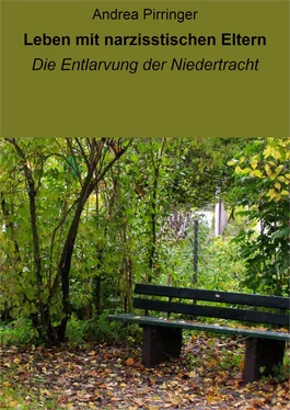 Andrea Pirringer Leben mit narzisstischen Eltern обложка книги