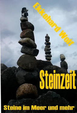 Ekkehard Wolf Steinzeit обложка книги
