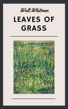 Walt Whitman Walt Whitman: Leaves of Grass (English Edition) обложка книги