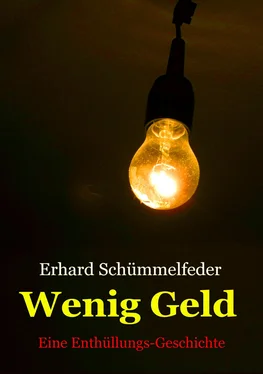 Erhard Schümmelfeder WENIG GELD обложка книги