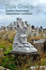 Elda Drake - Die Mulgacamper Romane Band 5 und 6