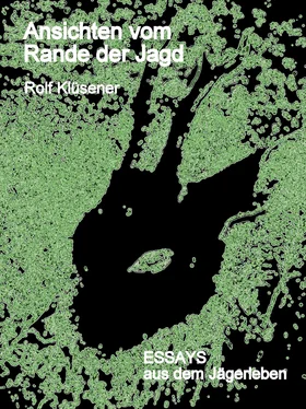 Rolf Klüsener Ansichten vom Rande der Jagd обложка книги