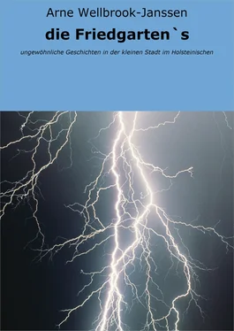 Arne Wellbrook-Janssen die Friedgarten`s обложка книги