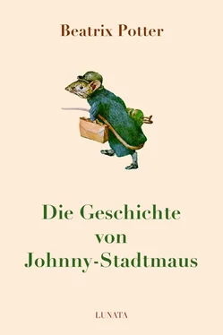 Beatrix Potter Die Geschichte von Johnny-Stadtmaus обложка книги