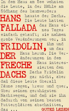 Hans Fallada Fridolin, der freche Dachs обложка книги