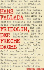 Hans Fallada - Fridolin, der freche Dachs