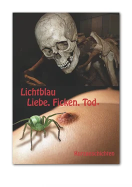 Xaver Leonhard Lichtblau Liebe.Ficken.Tod обложка книги