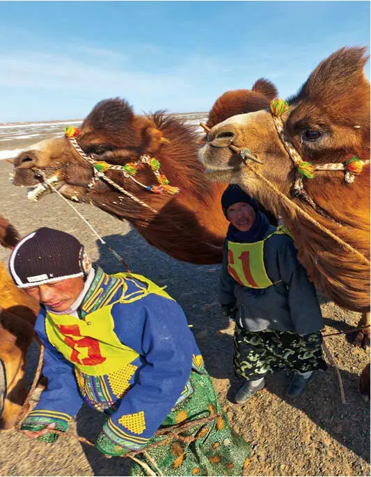 Statt eines Pferderennens wird in der Gobi in den Tagen um Tsagaan Sar herum - фото 61